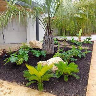 Aménagement jardin avec palmier à Romans-sur-Isère Mours et St-Donnat dans la Drôme des collines